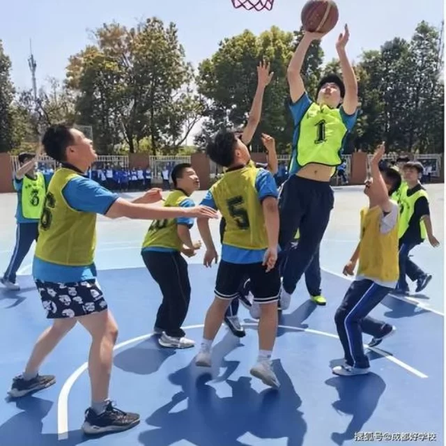体育新闻热点追踪与数据视角的深入观察